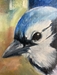 Blue Jay #1 - 13329