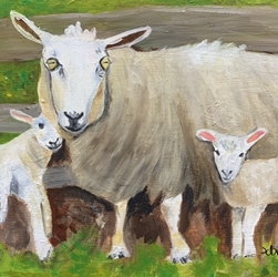 Ewe & 2 Lambs painting, art for the wall, ewe, lamb, black belt