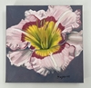 Flower 1 cindy stoudenmire, flower 1, pink, light pink, dark pink, green, yellow, floral, nature, painting