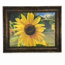 "Good Morning Sunshine" Susan, Anderson, Good, Morning, Sunshine, Painting, Sunflower