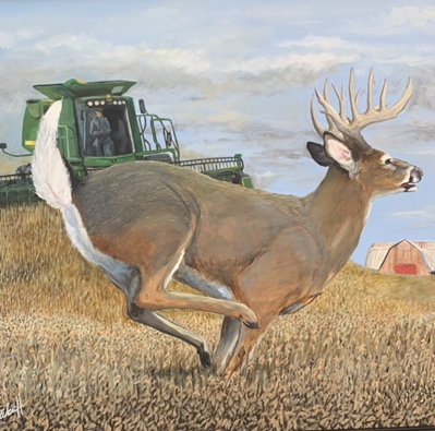 Picking a Fight mike handley, black belt, wildlife painting, acyrilic painting, deer painting