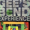 The Gees Bend Experience  book, gees bend, tinnie pettway, the gees bend experience, 