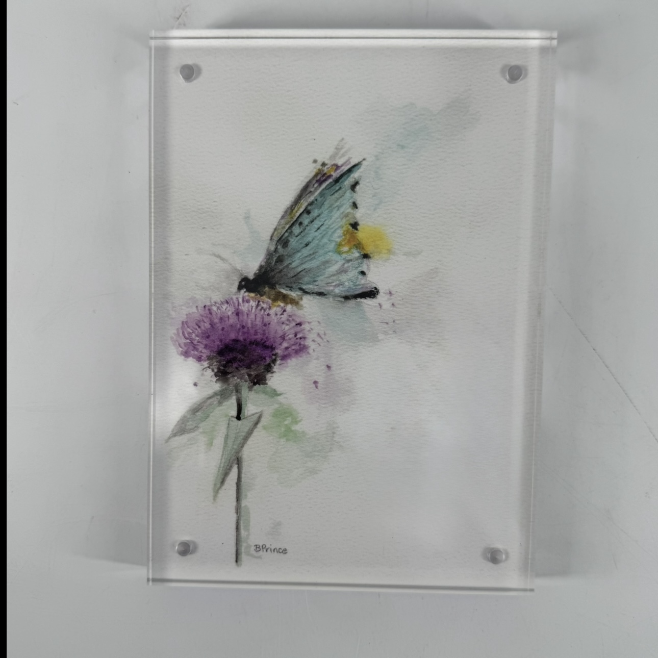 Butterfly- 5x7-Acrylic Framed Watercolor Print betsy, betsy prince, watercolor print, blue, butterfly, purple, flower, framed, clear, acrylic