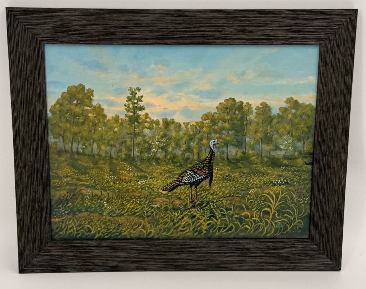 Lonesome Gobbler Stephen R. James, Turkey, Flowers, Trees, Field, Nature, Animal