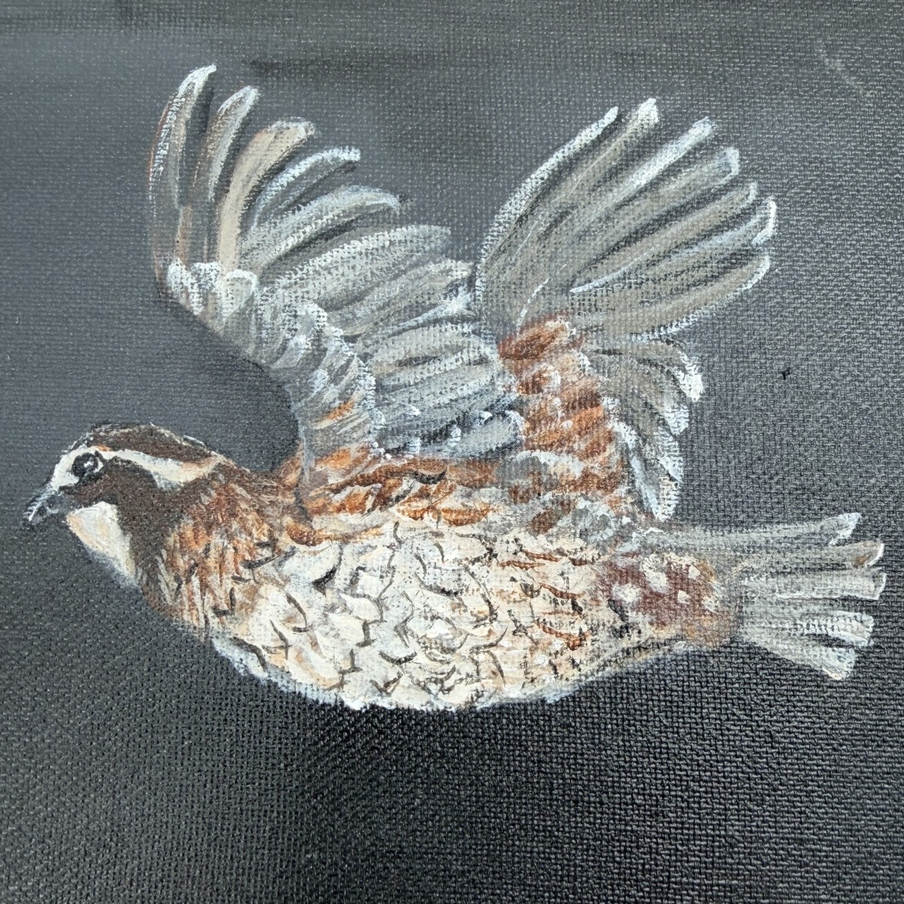 On the Rise Framed  Sue Mims, Montgomery county, painting, acrylic, bird, brown, black