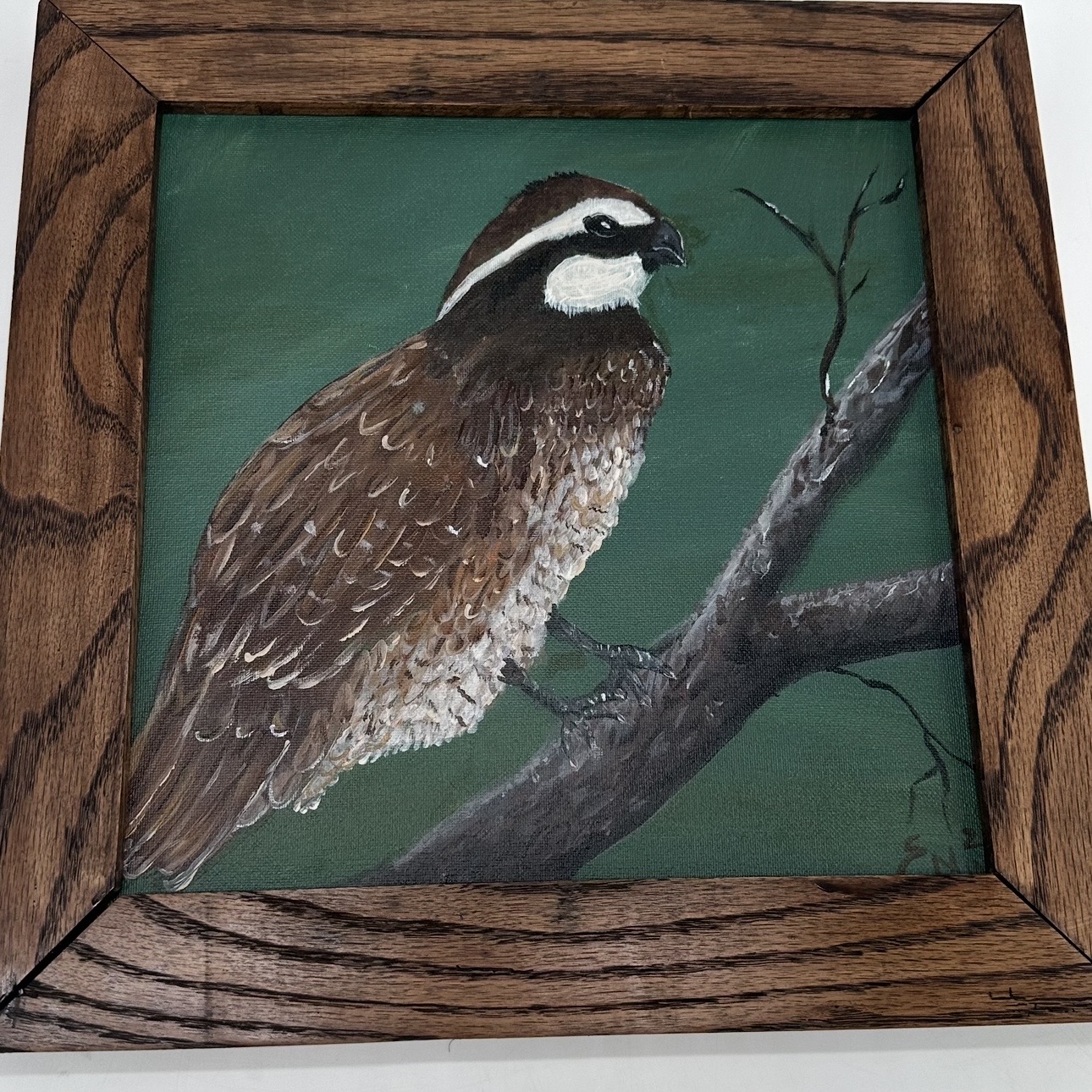 Quail on Branch Sue Mims, Quail on a branch, painting, bird, dark green, tree branch