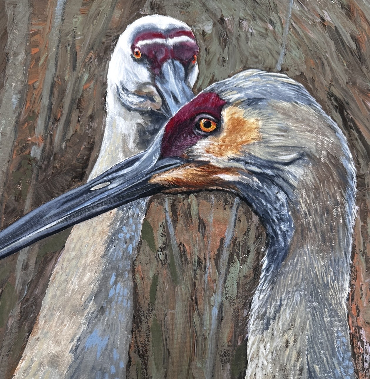 Sandhill Cranes Mike Handley, Montgomery county, painting, crane, bird, sandhill cranes