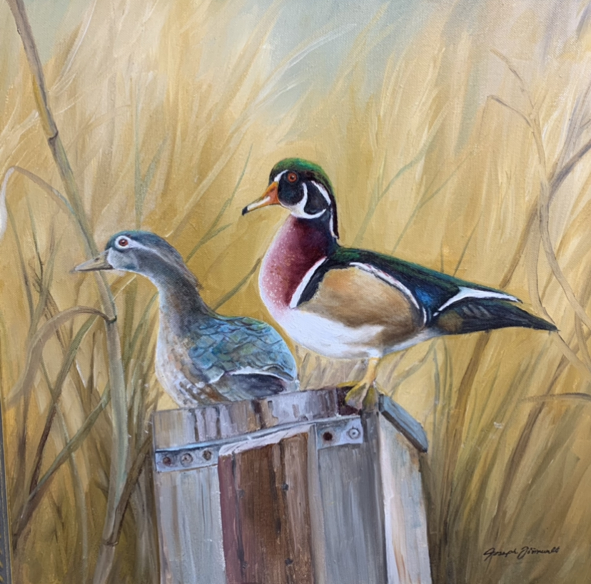 Wood Ducks  joseph formwalt, wood ducks, oil, hunting, 