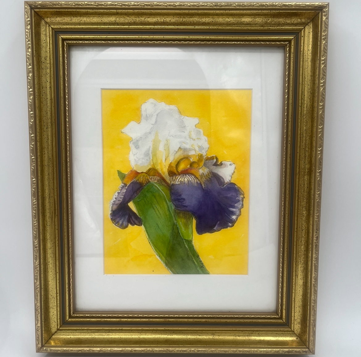Yellow Iris  karen weir, yellow iris, watercolor, flower, florals, purple, yellow, gold