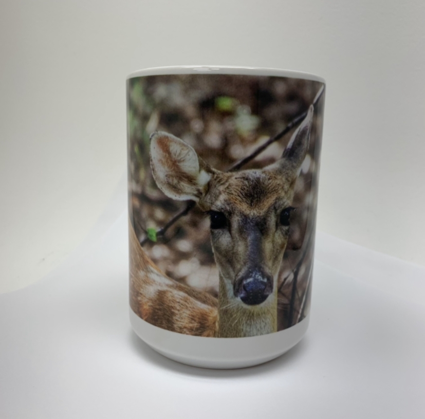 15oz Assorted Photo Mug  melanie andress, 15oz cup, 15oz assorted photo mug, photo mug, assorted cups, assorted mugs, 
