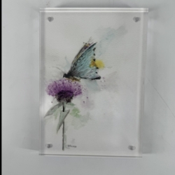 Butterfly- 5x7-Acrylic Framed Watercolor Print betsy, betsy prince, watercolor print, blue, butterfly, purple, flower, framed, clear, acrylic