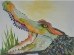 Alligator - 15850a