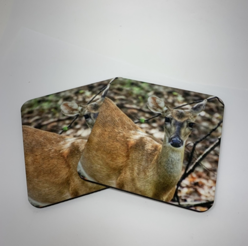 Assorted Photo Cork Coaster Melanie Andress, cork coaster, coaster, assorted coasters, photo coasters, assorted photo cork coaster, 