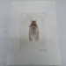 Cicada Drypoint Etching - 16293e