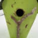 BirdHouse - 16422A