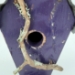 BirdHouse - 16422c