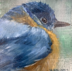 Blue Bird #1 rebecca brooks, blue, blue bird, bird