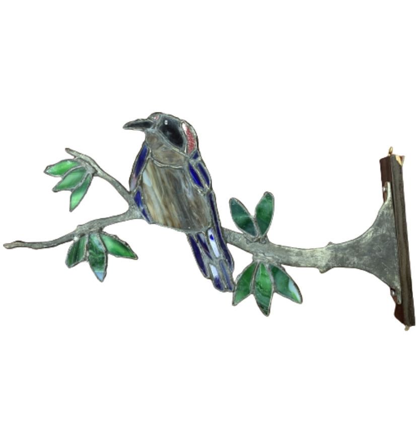 Blue Bird on a Limb 