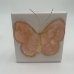 Butterfly - 13713