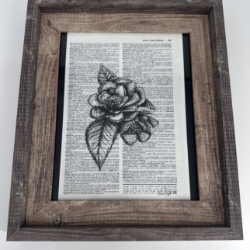 Camellia  kaylene brooks, Camellia, pen and ink, black and white drawing