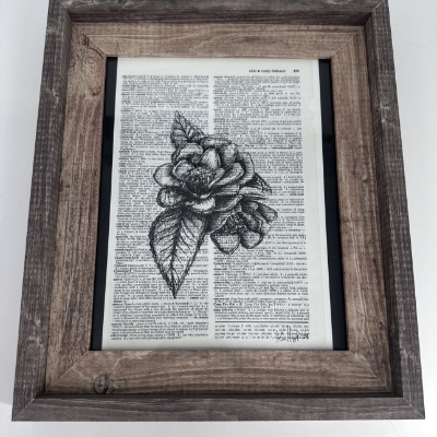 Camellia  kaylene brooks, Camellia, pen and ink, black and white drawing