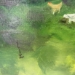Chicken's Are Out! - 13890