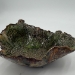 Coral Fan bowl - 16702