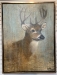 Deer Mixed Media  - 12815