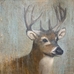 Deer Mixed Media  - 12815