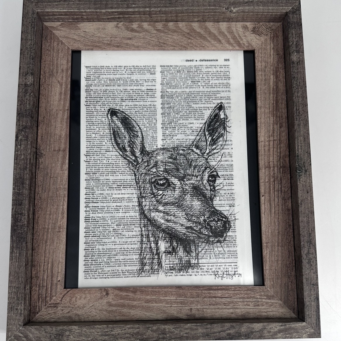 Doe  kaylene brooks, doe  pen and ink, black and white drawing