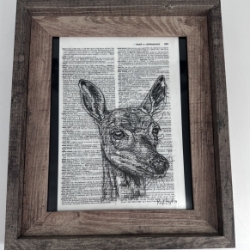 Doe  kaylene brooks, doe  pen and ink, black and white drawing