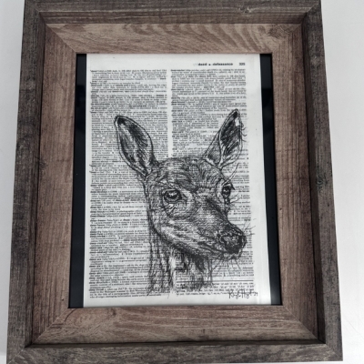 Doe  kaylene brooks, doe  pen and ink, black and white drawing