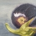"Eggplant" on Canvas - 6686