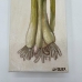 Green Onions- 4x12 Oil on Gallery Wrap Canvas - 15847