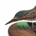 Hand Carved Green Heron - 650