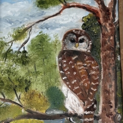 Hoot Mary Croley, owl, trees, oil painting, barred owl