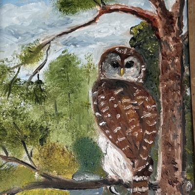 Hoot Mary Croley, owl, trees, oil painting, barred owl