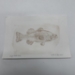 Large Mouth Bass Drypoint Etching- 9"x6" - 16293b
