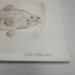 Large Mouth Bass Drypoint Etching- 9"x6" - 16293b