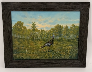 Lonesome Gobbler Stephen R. James, Turkey, Flowers, Trees, Field, Nature, Animal