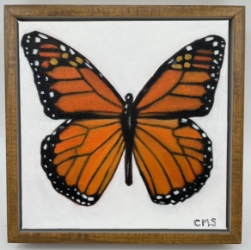 Monarch Butterfly- 8x8 - Framed Oil on Canvas caroline sherrer, monarch butterfly, 8x8 square painting, oil paint, framed painting, wildlife, butterflies, orange butterfly