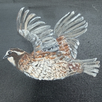 On the Rise Framed  Sue Mims, Montgomery county, painting, acrylic, bird, brown, black