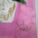 Orchid with pink background - 16720