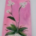 Orchid with pink background - 16720