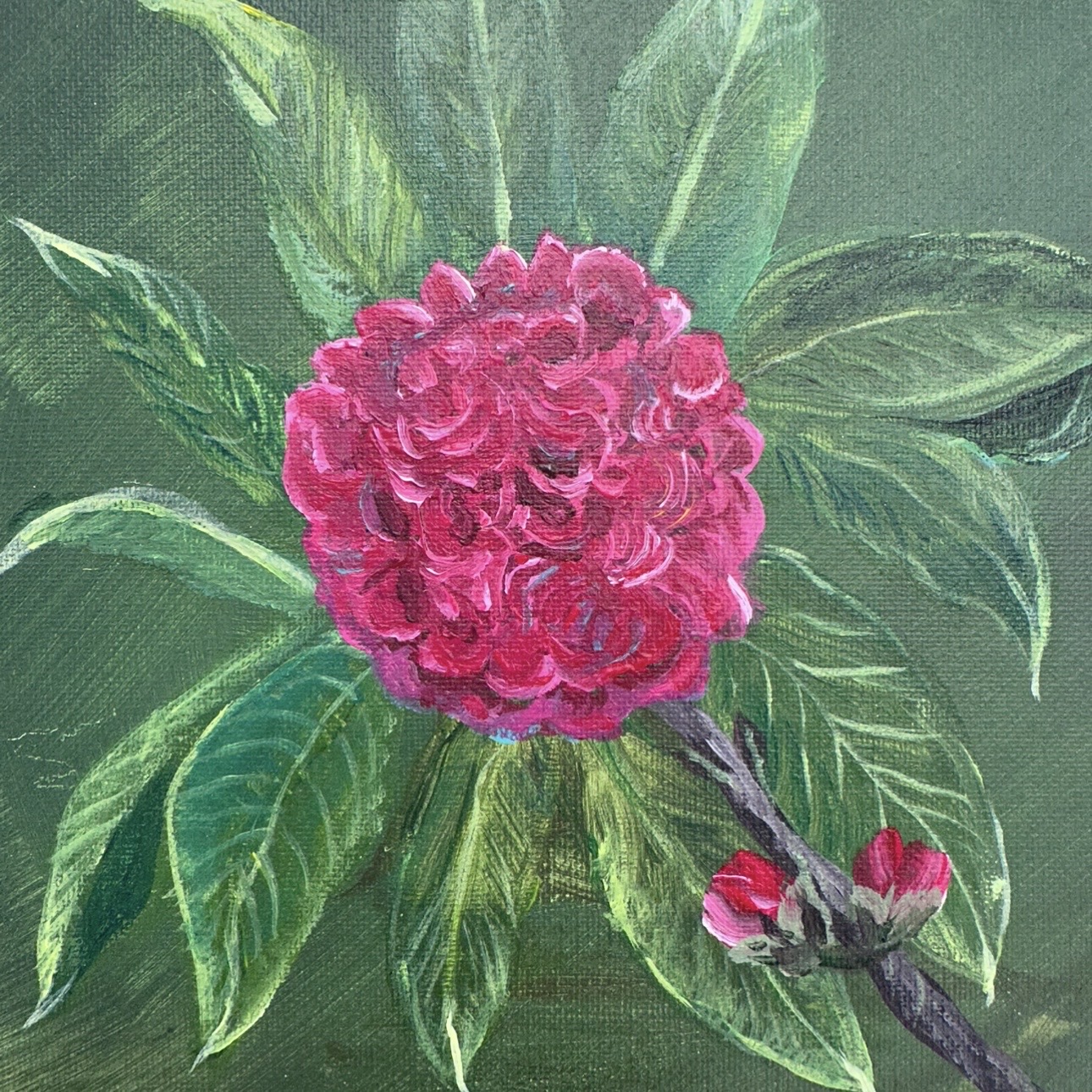 Professor Charles Sargent sue mims, painting, green, pink, , flower, camellia, professor charles sargent