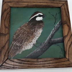 Quail on Branch Sue Mims, Quail on a branch, painting, bird, dark green, tree branch