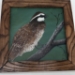 Quail on Branch - 016219