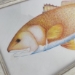 Red Fish - 15144