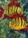 Red & Yellow Fish - 15102