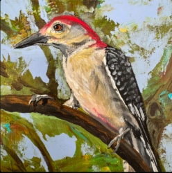 Red-bellied Woodpecker Mike handley, Red-bellied Woodpecker, Painting, wall art, painting, birds of alabama